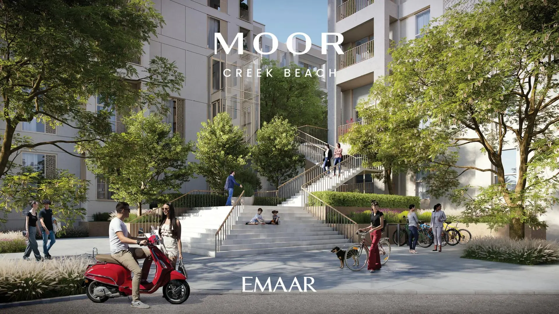 Moor at Creek Beach